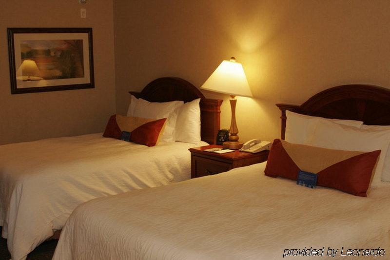 Hilton Garden Inn West Edmonton Room photo